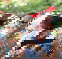 Darwin International Laksa Festival - Holiday Find