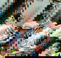 Grapes of Mirth Comedy and Wine in Orange - Holiday Find