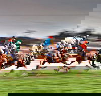 Grafton July Racing Carnival - Holiday Find