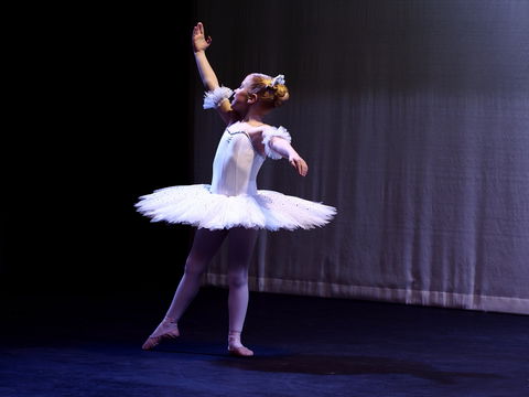 Hamilton Eisteddfod - Holiday Find 2