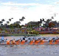 Jacaranda Dragon Boat Races - Holiday Find