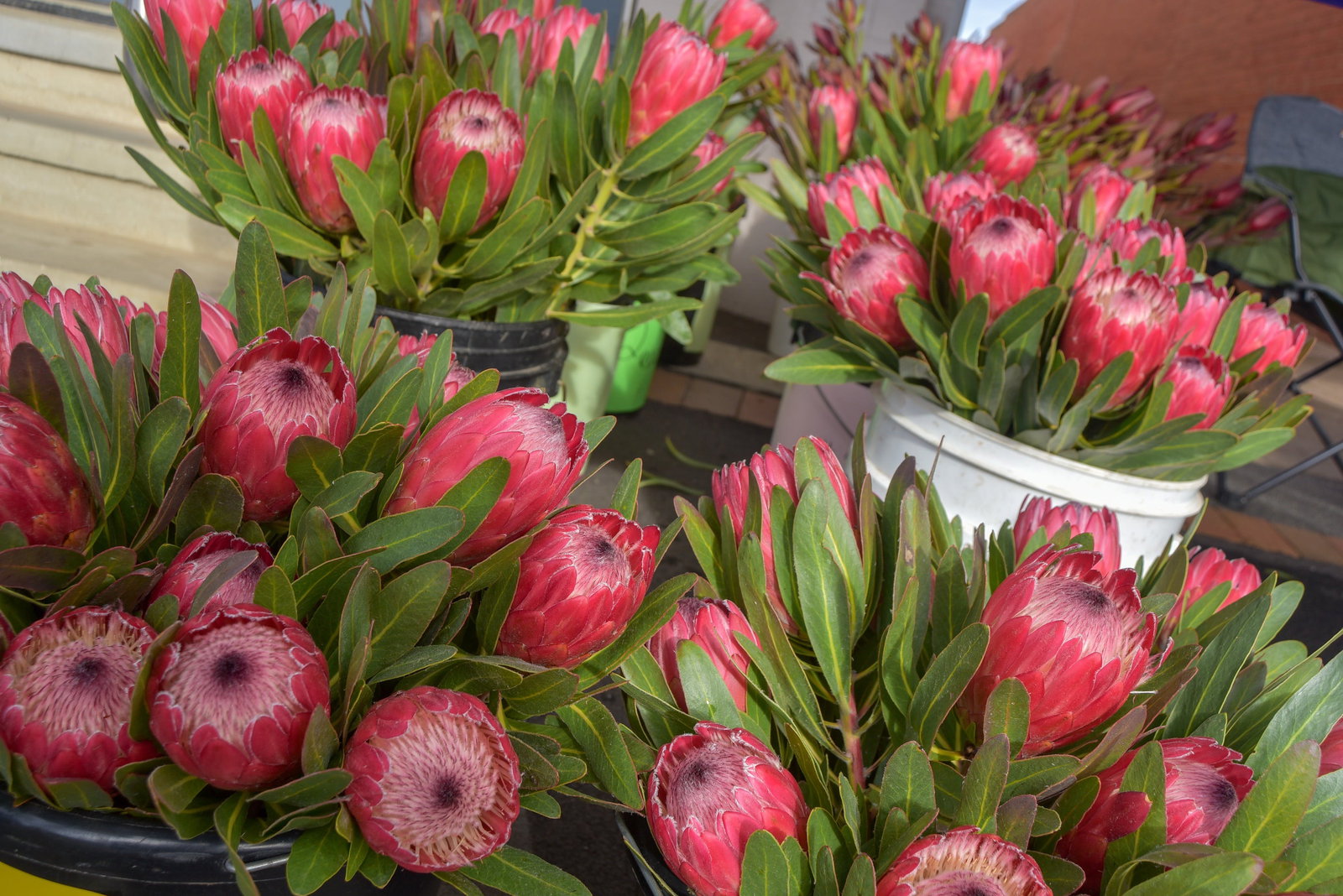 Marinna ACT Holiday Find