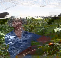 Kingsdale Wines - Cellar Door Wine Tastings - Holiday Find