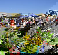 Maclean Community Monthly Markets - Holiday Find