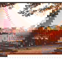 Mullum Circus Festival - Holiday Find