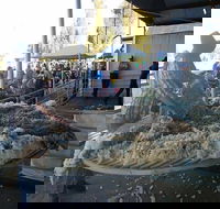 Narrabri Show - Holiday Find