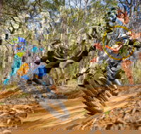 NSW State Downhill Mountain Bike Championships - Holiday Find