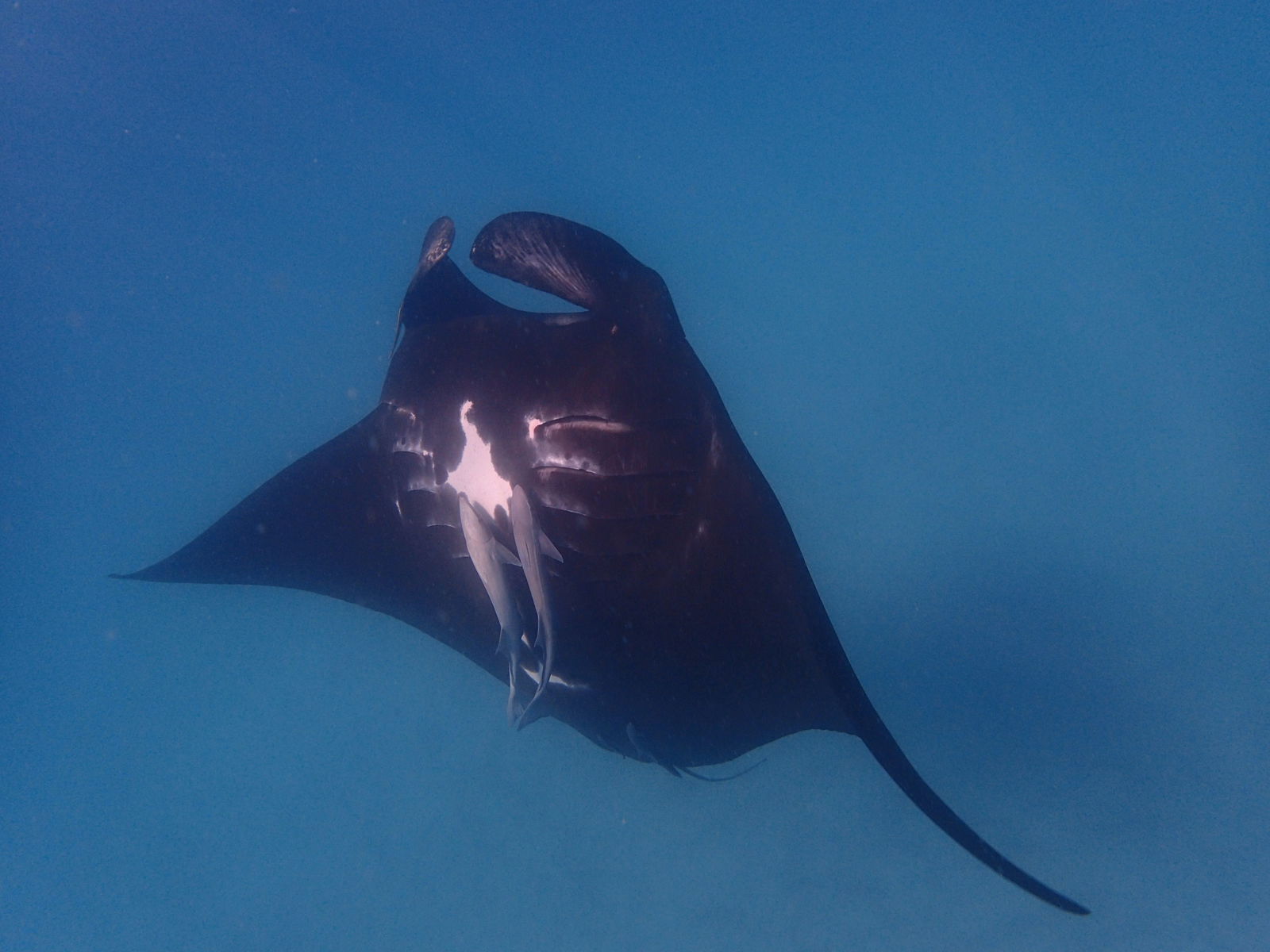 Carbla WA Holiday Find