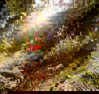 Run Dungog - Holiday Find