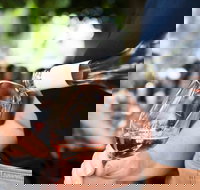 Saturday Wine Masterclass - Holiday Find