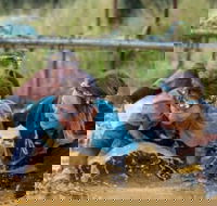 Suck It Up Buttercup Vikings Obstacle Course - Holiday Find