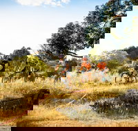 The Beverley Heroic - Holiday Find