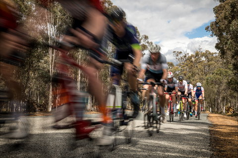 The Beverley Heroic - Holiday Find 2