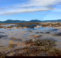 Walk to the Reef - Holiday Find