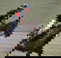 Wirragulla Annual Polo Tournament - Holiday Find