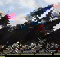 Batemans Bay Cup - Holiday Find