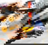 Brewing for Beginners - Holiday Find