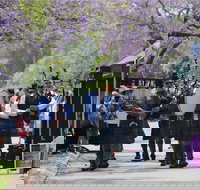 Celtic Festival of Queensland - Holiday Find