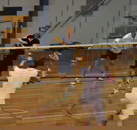 Charlton Badminton Club Ladies Tournament - Holiday Find