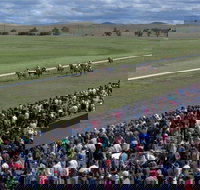 Cooma Sundowners Cup - Holiday Find