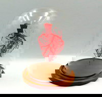 Corrosion Casting - Holiday Find