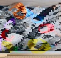 Cuttle-Rock Challenge - CUTTLEFEST 2020 - Whyalla - Holiday Find