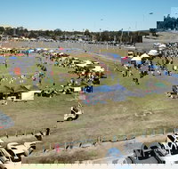 Dogs In the Park Swansea - Holiday Find