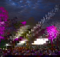 Fleurieu Film Festival - Holiday Find