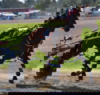 Forbes Show - Holiday Find