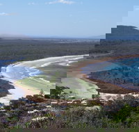 Head to Head Walk Run - Holiday Find