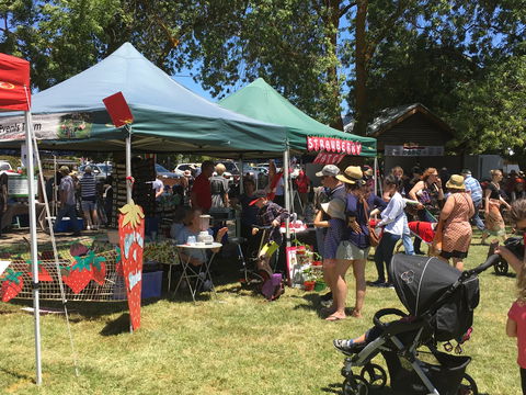 Macclesfield Strawberry Fete - Holiday Find 1