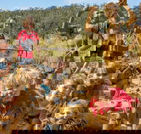 Mini Muddies Obstacle Challenge at Bunnamagoo Estate - Holiday Find