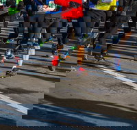 Moruya Town to Surf Fun Run - Holiday Find