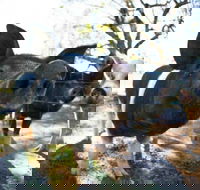 Mudgee Farm Walks - Holiday Find