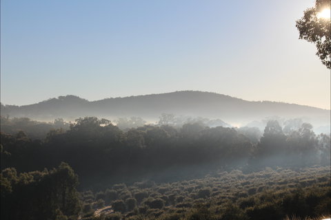 Mudgeeque - Holiday Find 0