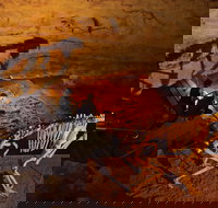 Naracoorte World Heritage Festival and Run - Holiday Find