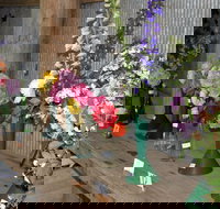 Neville Show - Holiday Find