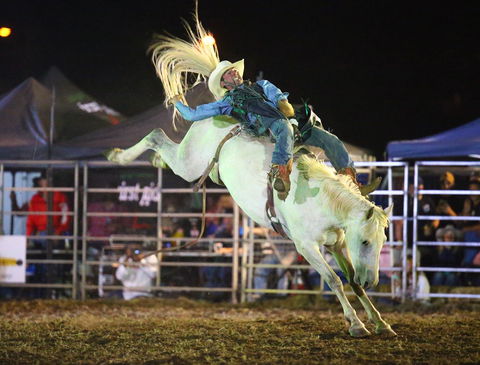 Patches Asphalt Queanbeyan Rodeo - Holiday Find 2