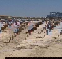 Perlubie Beach Sports Day - Holiday Find