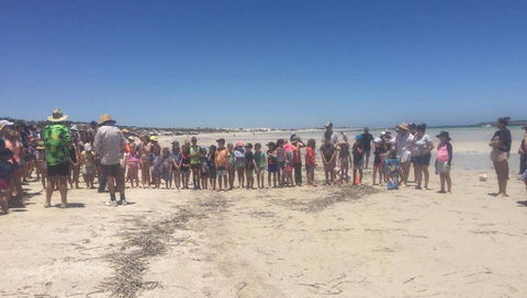 Perlubie Beach Sports Day - Holiday Find 1