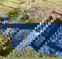 Photography - Cyanotype - Holiday Find