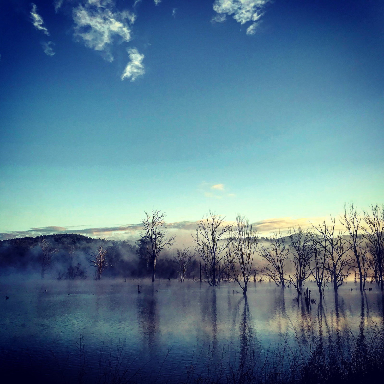 Milbong QLD Holiday Find