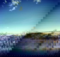 Scenic Rim Ultra - Holiday Find