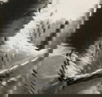 Shimmering The Mona Hessing Tribute Project - Holiday Find