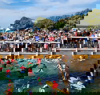 The Crescent Head Santa Surf - Holiday Find