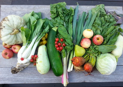 Wingham Farmers Market - Holiday Find 0