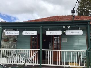 A Wild Night Out - Spring - Holiday Find 4