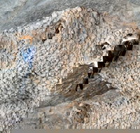 2020 Katherine Bird Festival - Holiday Find