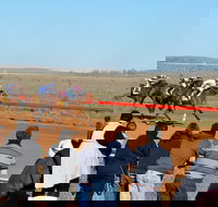 2020 Quorn Cup - Holiday Find