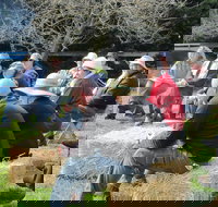 All Season Cold Climate Organic Vegetable Growing - Holiday Find